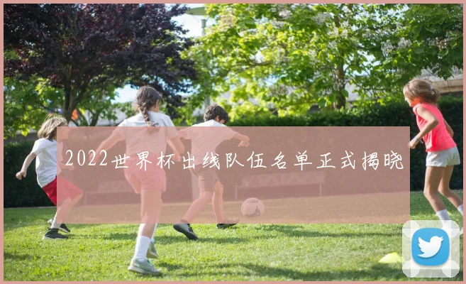 2022世界杯出线队伍名单正式揭晓