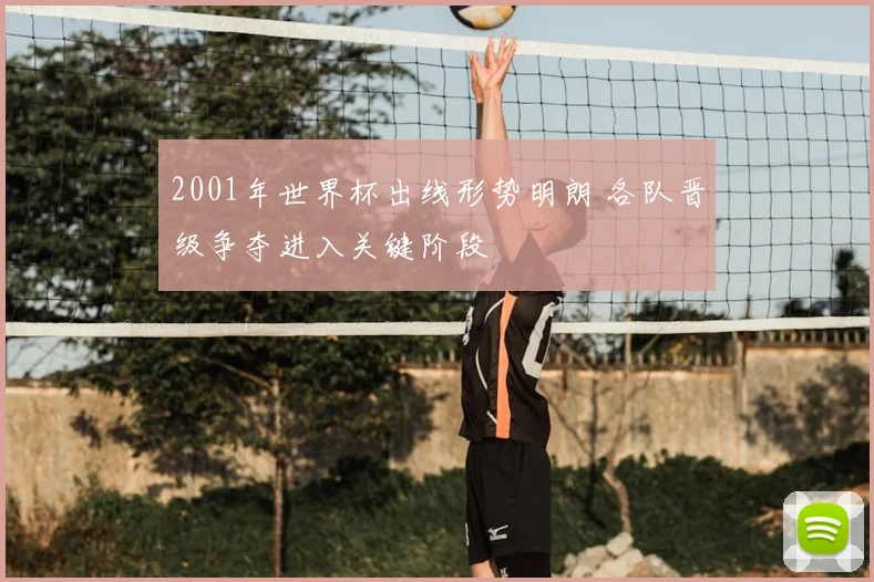 2001年世界杯出线形势明朗 各队晋级争夺进入关键阶段