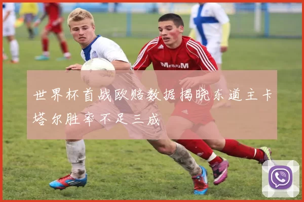 世界杯首战欧赔数据揭晓东道主卡塔尔胜率不足三成