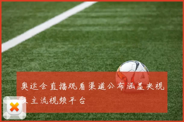 奥运会直播观看渠道公布涵盖央视及主流视频平台