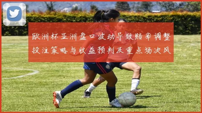 欧洲杯亚洲盘口波动导致赔率调整投注策略与收益预判及重点场次风险点位